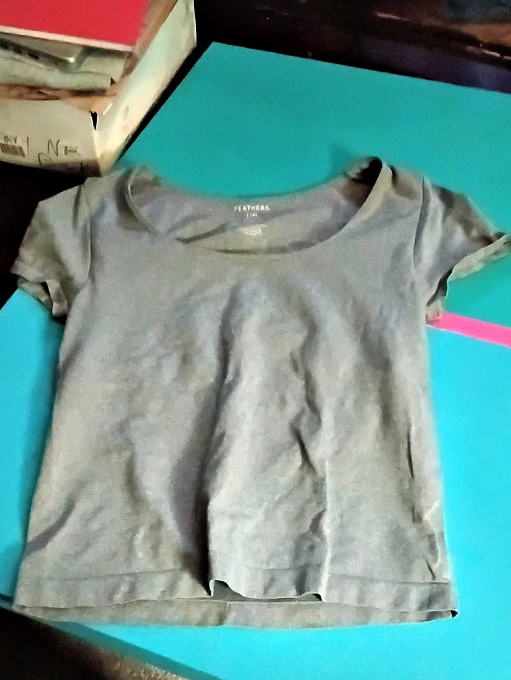 Feathers Short Sleeve Tee in Gray Size L/XL